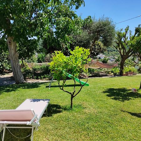 דירות Barano dʼIschia Il Giardino מראה חיצוני תמונה