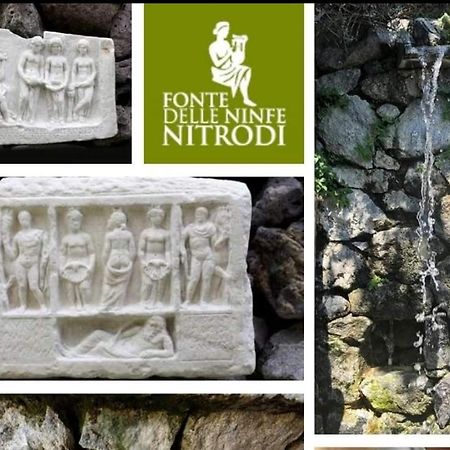 דירות Barano dʼIschia Il Giardino מראה חיצוני תמונה