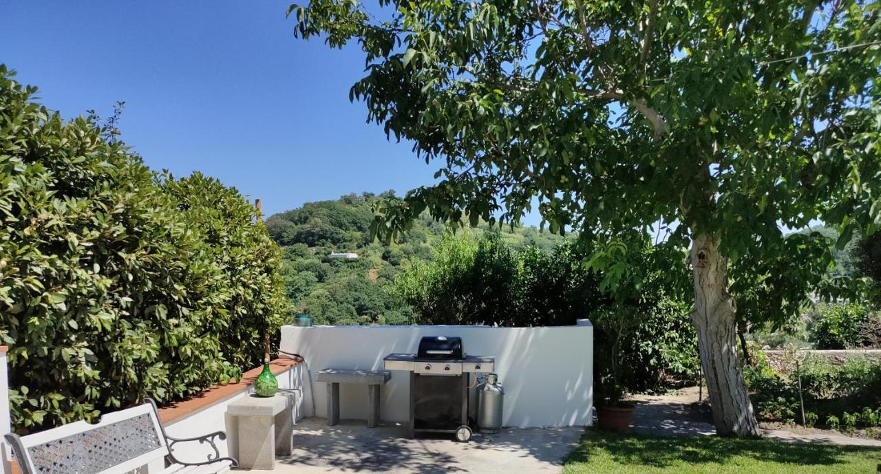דירות Barano dʼIschia Il Giardino מראה חיצוני תמונה